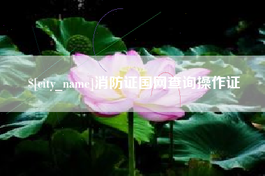 肇东消防证国网查询操作证