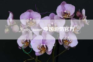 肇东中国消防官方