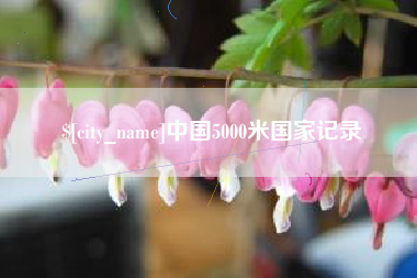 肇东中国5000米国家记录