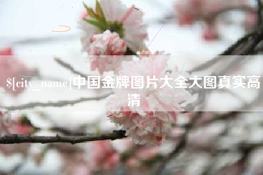 肇东中国金牌图片大全大图真实高清