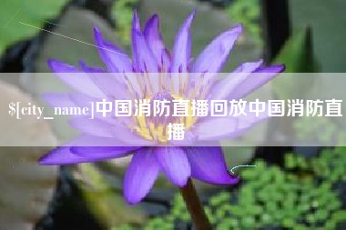 肇东中国消防直播回放中国消防直播