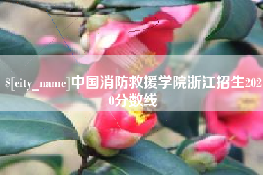 肇东中国消防救援学院浙江招生2020分数线