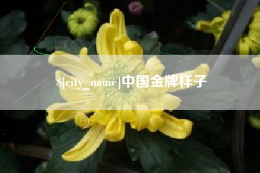 肇东中国金牌样子