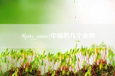 肇东中国的几个金牌