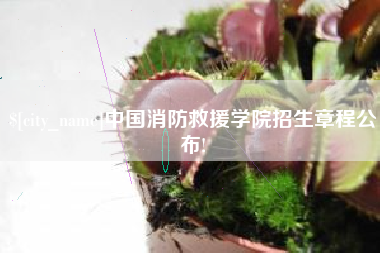 肇东中国消防救援学院招生章程公布!