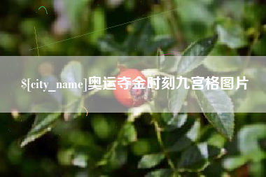 肇东奥运夺金时刻九宫格图片