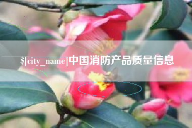 肇东中国消防产品质量信息