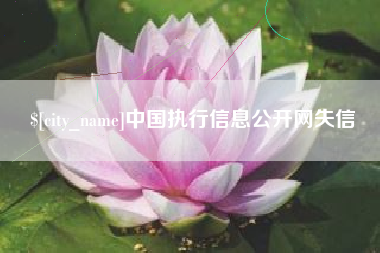 肇东中国执行信息公开网失信