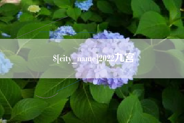 肇东2022九宫