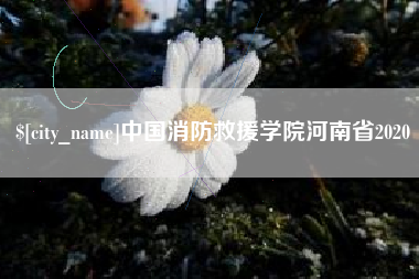肇东中国消防救援学院河南省2020